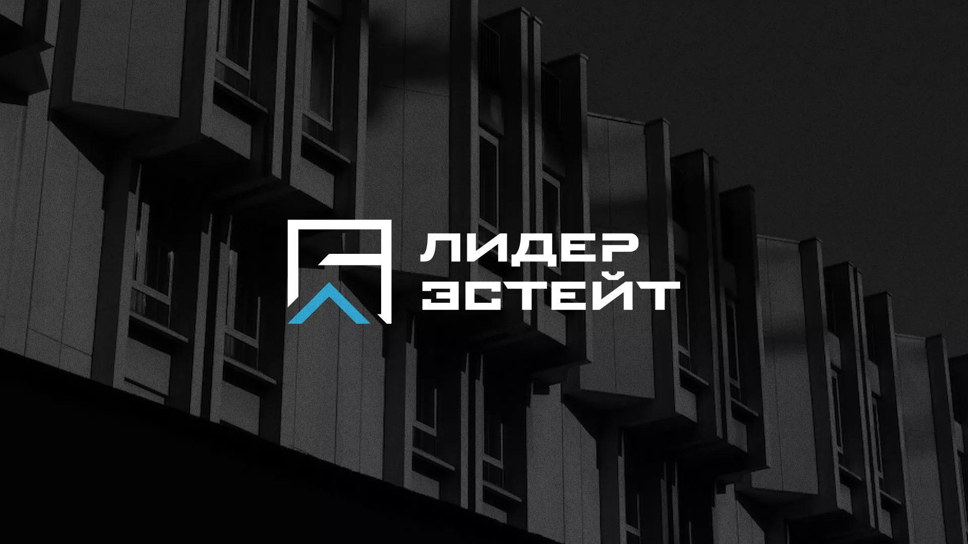 Разработка логотипа агентства недвижимости «Лидер Эстейт» в Рудне